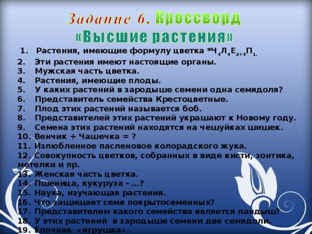   1.       Растения, имеющие формулу цветка *Ч 4 Л 4 Е 2+4 П 1. 2.       Эти растения имеют настоящие органы. 3.       Мужская часть цветка. 4.       Растения, имеющие плоды. 5.       У каких растений в зародыше семени одна семядоля? 6.       Представитель семейства Крестоцветные. 7.       Плод этих растений называется боб. 8.       Представителей этих растений украшают к Новому году. 9.       Семена этих растений находятся на чешуйках шишек. 10.   Венчик + Чашечка = ? 11.   Излюбленное пасленовое колорадского жука. 12.   Совокупность цветков, собранных в виде кисти, зонтика, метелки и пр. 13.   Женская часть цветка. 14.   Пшеница, кукуруза - …? 15.   Наука, изучающая растения. 16.   Что защищает семя покрытосеменных? 17.   Представителем какого семейства является ландыш? 18.   У этих растений в зародыше семени две семядоли. 19.   Ёлочная «игрушка». 