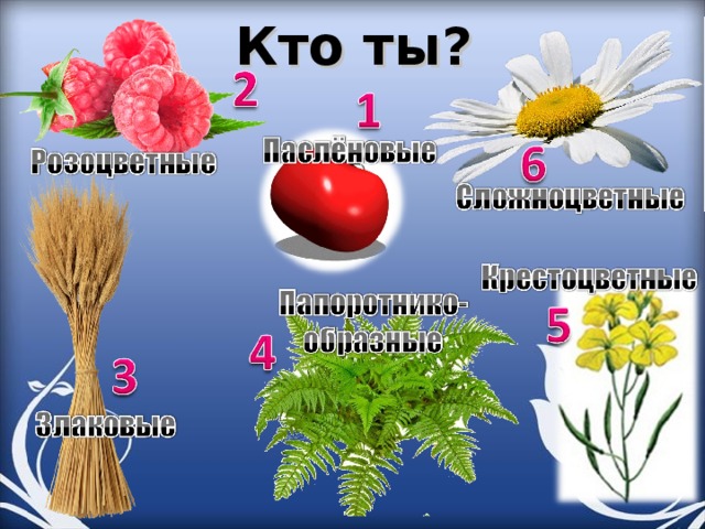 Кто ты? 