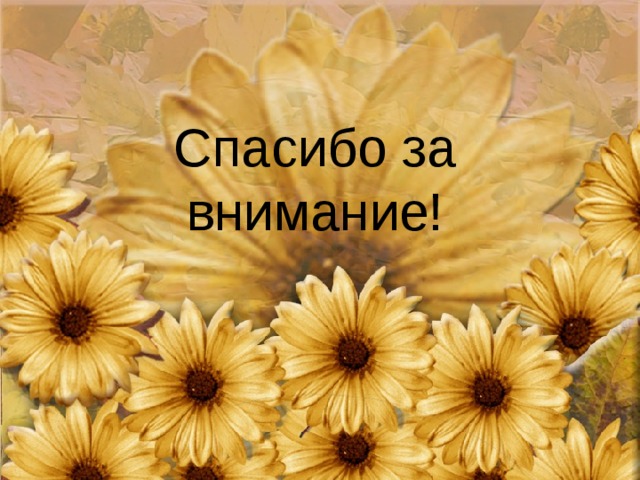 Спасибо за внимание! 