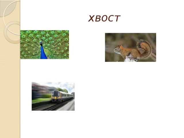 хвост 