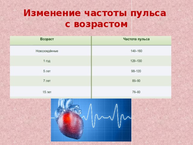 Изменение частоты пульса  с возрастом 