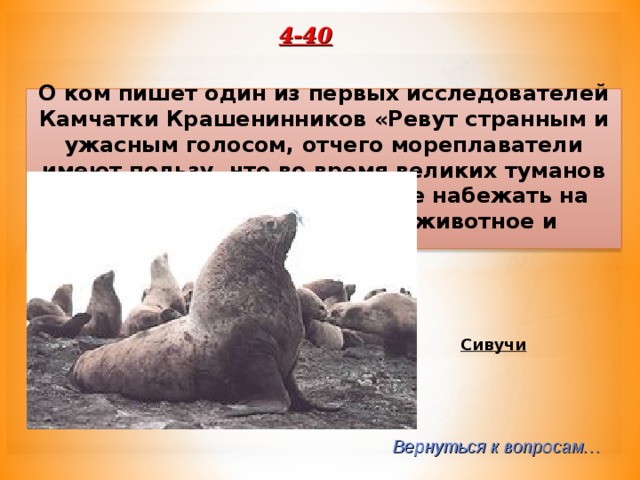 4-40 О ком пишет один из первых исследователей Камчатки Крашенинников «Ревут странным и ужасным голосом, отчего мореплаватели имеют пользу, что во время великих туманов могут остерегаться, чтобы не набежать на острова, при которых это животное и водится…» Сивучи Вернуться к вопросам… 