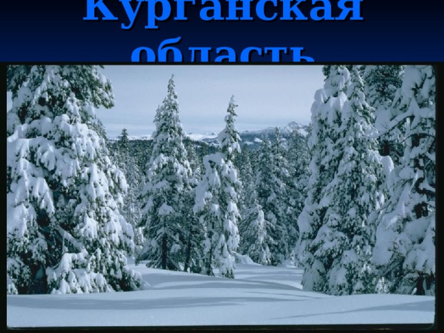 Курганская область 