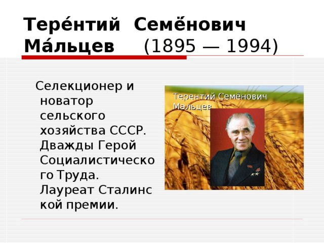 Тере́нтий Семё́нович Ма́льцев   (1895 — 1994)    Селекционер и новатор сельского хозяйства СССР. Дважды Герой Социалистического Труда. Лауреат Сталинской премии. 