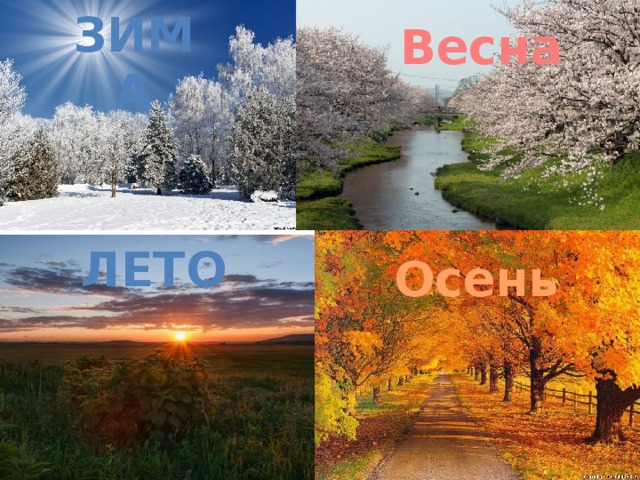 Зима Весна ЗИМА Лето Осень 