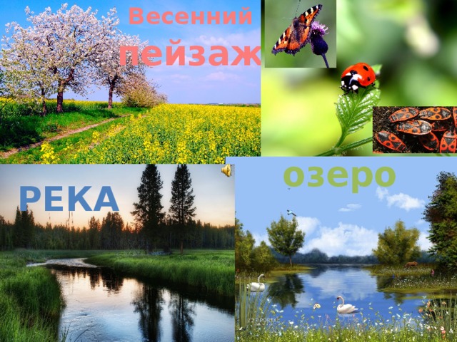Весенний пейзаж  озеро река 