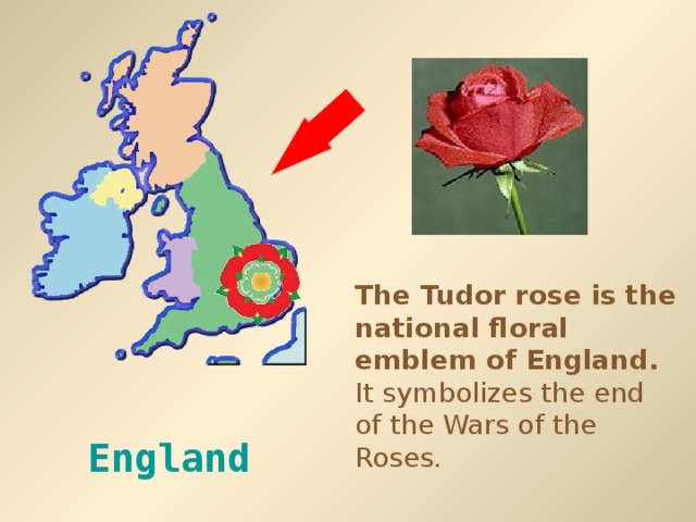 The Tudor rose is the national floral emblem of England. It symbolizes the end of the Wars of the Roses. England  
