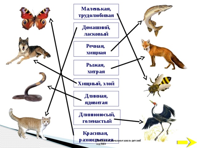 Маленькая, трудолюбивая Домашний, ласковый Речная, хищная Рыжая, хитрая Хищный, злой Длинная, ядовитая «Признаки предметов» - Упражнение “Признаки предметов” направлено прежде всего на формирование навыков чтения, когда материал для чтения небольшой, чтение сопровождается действиями ребенка, в результате которых появляются небольшие словосочетания, которые легко читаются, так как состоят из прочитанных ранее слов. Дети обогащают свой словарный запас, знакомясь со словами, характеризующими разных животных: волка, зайца, медведя, комара, бабочку, журавля и др..   Длинноносый, голенастый Красивая, разноцветная 40 Попова А.А.,начальная школа-детский сад №54 40 