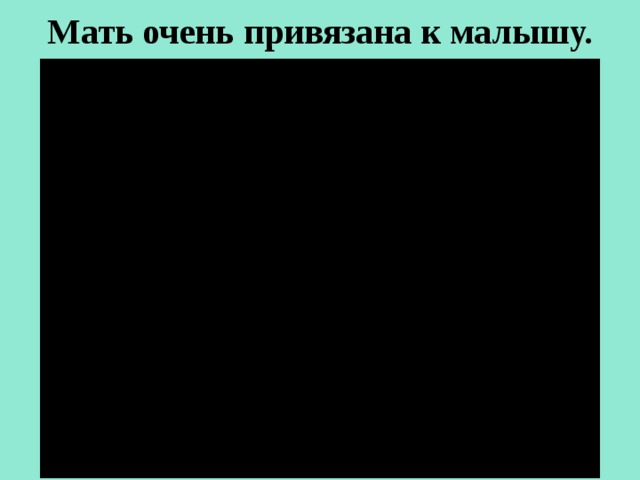Мать очень привязана к малышу.