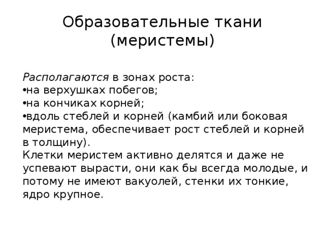 Образовательные ткани (меристемы) Располагаются в зонах роста: на верхушках побегов; на кончиках корней; вдоль стеблей и корней (камбий или боковая меристема, обеспечивает рост стеблей и корней в толщину). Клетки меристем активно делятся и даже не успевают вырасти, они как бы всегда молодые, и потому не имеют вакуолей, стенки их тонкие, ядро крупное. 