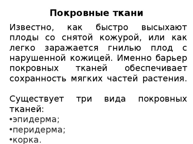 Покровные ткани   Известно, как быстро высыхают плоды со снятой кожурой, или как легко заражается гнилью плод с нарушенной кожицей. Именно барьер покровных тканей обеспечивает сохранность мягких частей растения.   Существует три вида покровных тканей: эпидерма; перидерма; корка. 