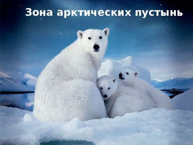 Зона арктических пустынь   