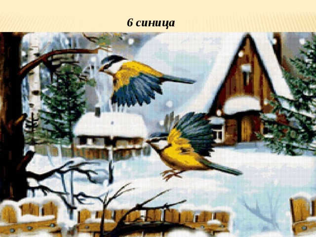 6 синица 