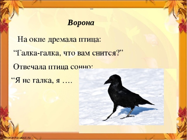 Ворона 