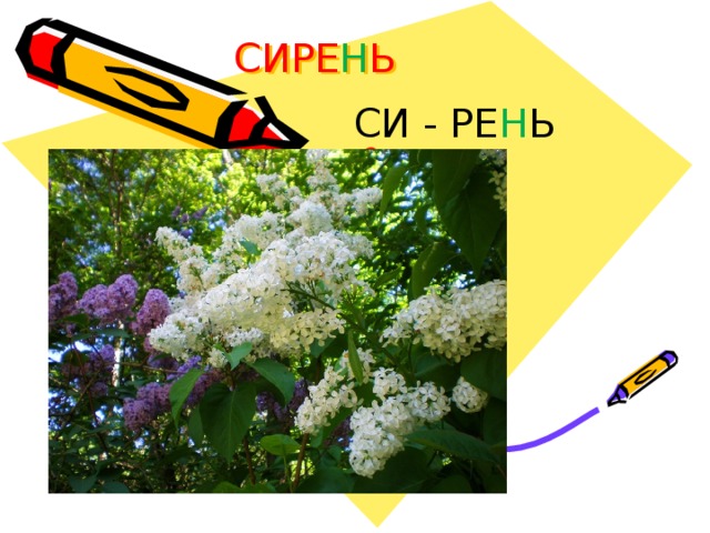 СИРЕ Н Ь  СИ - РЕ Н Ь  