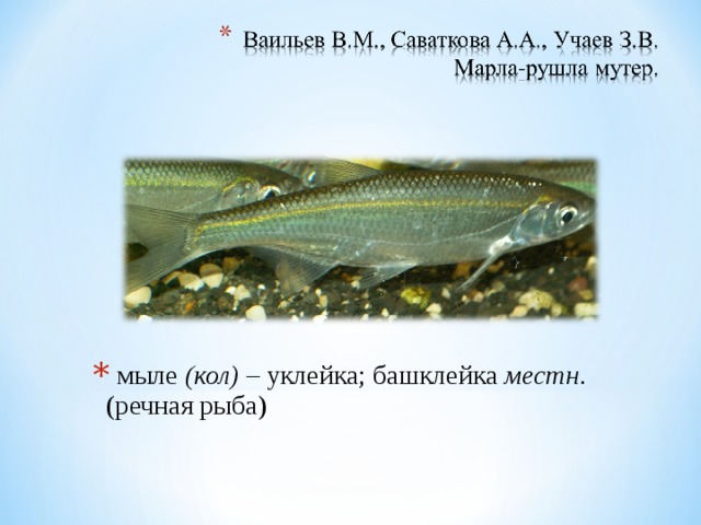  мыле (кол) – уклейка; башклейка местн . (речная рыба) 