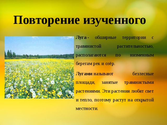 Повторение изученного Луга  - обширные территории с травянистой растительностью, располагаются по низменным берегам рек и озёр. Лугами  называют безлесные площади, занятые травянистыми растениями. Эти растения любят свет и тепло, поэтому растут на открытой местности. 