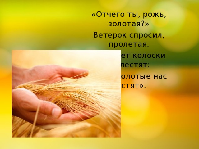 «Отчего ты, рожь, золотая?» Ветерок спросил, пролетая. А в ответ колоски шелестят: «Руки золотые нас растят». 