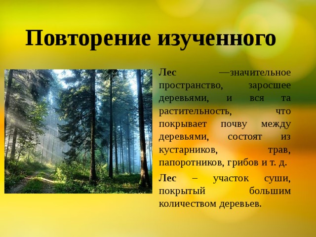 Повторение изученного Лес —значительное пространство, заросшее деревьями, и вся та растительность, что покрывает почву между деревьями, состоят из кустарников, трав, папоротников, грибов и т. д. Лес – участок суши, покрытый большим количеством деревьев. 