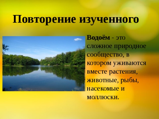 Повторение изученного Водоём  - это сложное природное сообщество, в котором уживаются вместе растения, животные, рыбы, насекомые и моллюски. 