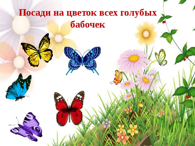 Посади на цветок всех голубых бабочек 