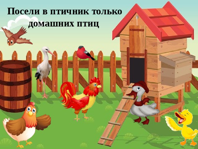 Посели в птичник только домашних птиц 