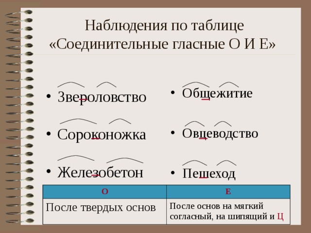  Наблюдения по таблице «Соединительные гласные О И Е» Общежитие Овцеводство Пешеход Звероловство Сороконожка Железобетон О После твердых основ Е После основ на мягкий согласный, на шипящий и Ц 
