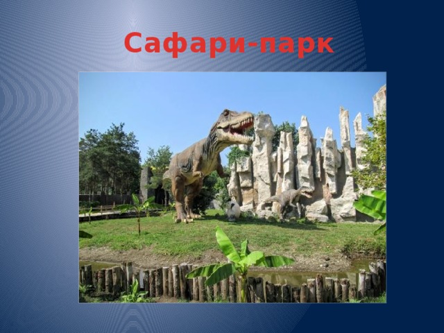 Сафари-парк 