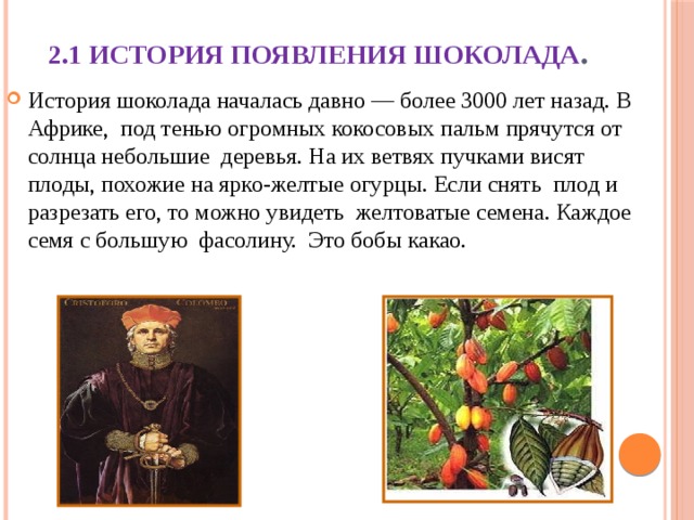 2.1 История появления шоколада .   История шоколада началась давно — более 3000 лет назад. В Африке, под тенью огромных кокосовых пальм прячутся от солнца небольшие деревья. На их ветвях пучками висят плоды, похожие на ярко-желтые огурцы. Если снять плод и разрезать его, то можно увидеть желтоватые семена. Каждое семя с большую фасолину. Это бобы какао. 