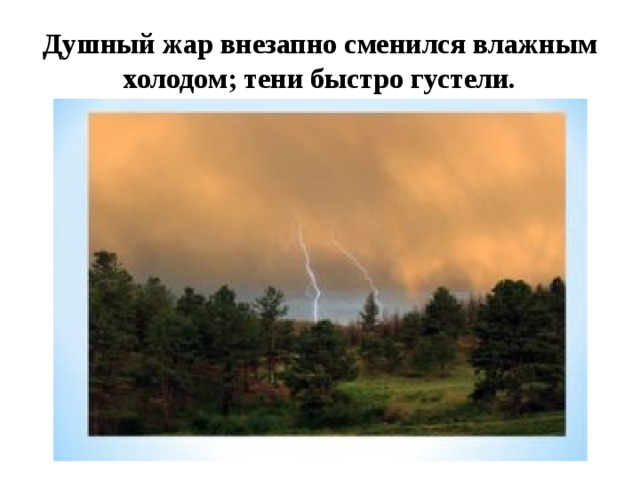 Гроза надвигалась  Впереди огромная лиловая туча медленно поднималась из-за леса; надо мною и мне навстречу неслись длинные серые облака; ракиты тревожно шевелились и лепетали .  