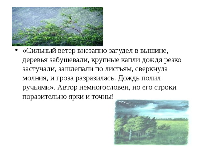 Душный жар внезапно сменился влажным холодом; тени быстро густели.   