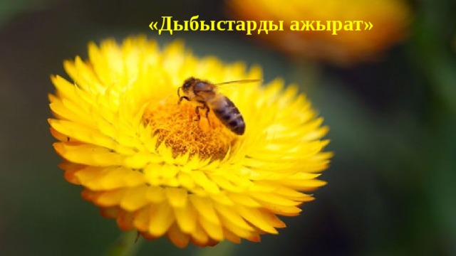«Дыбыстарды ажырат» 