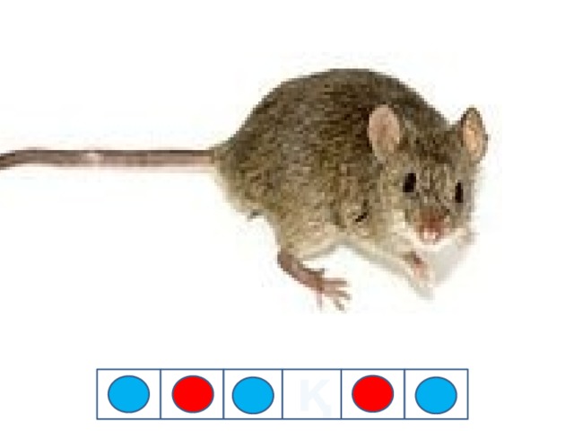 Қ 