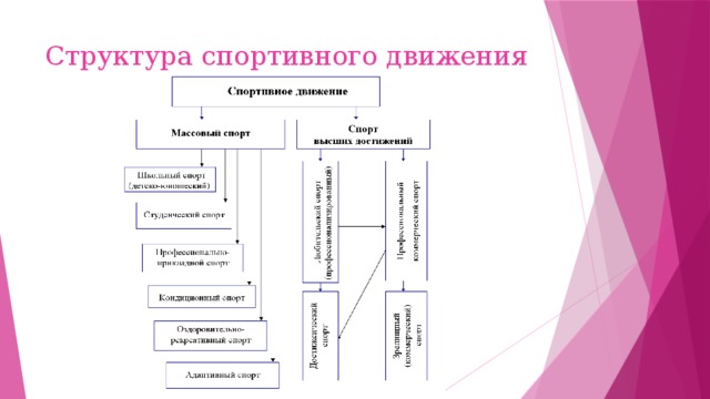 Структура спортивного движения 