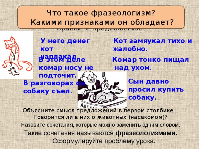 Определяем проблему урока Что такое фразеологизм?  Какими признаками он обладает? Сравните предложения: У него денег кот Кот замяукал тихо и н аплакал . ж алобно . В этом деле комар носу не подточит . Комар тонко пищал  над ухом . Сын давно просил купить собаку . В разговорах он собаку съел . Объясните смысл предложений в первом столбике. Говорится ли в них о животных (насекомом)? Назовите сочетания, которые можно заменить одним словом . Такие сочетания называются фразеологизмами. Сформулируйте проблему урока. 