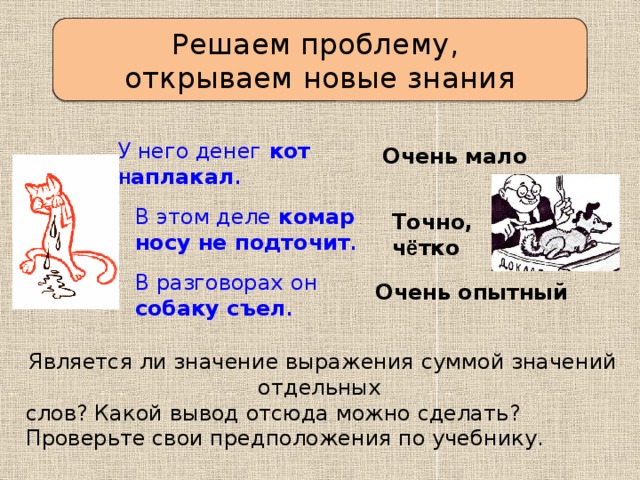 Решаем проблему, открываем новые знания У него денег кот н аплакал . Очень мало В этом деле комар носу не подточит . Точно,  ч ё тко В разговорах  он собаку съел . Очень опытный Является ли значение выражения суммой значений отдельных слов? Какой вывод отсюда можно сделать? Проверьте свои предположения по учебнику. 
