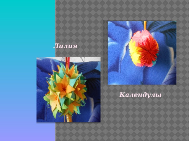 Лилия Календулы 