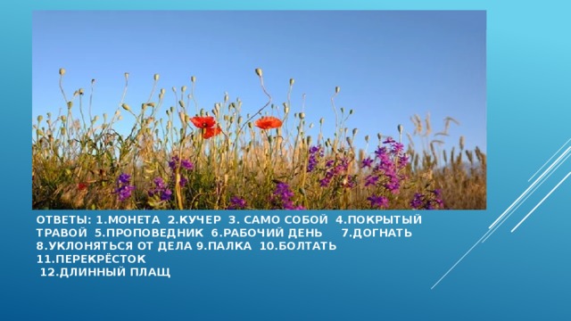 ответы: 1.монета 2.кучер 3. само собой 4.покрытый травой 5.проповедник 6.рабочий день 7.догнать  8.уклоняться от дела 9.палка 10.болтать 11.перекрёсток  12.длинный плащ 