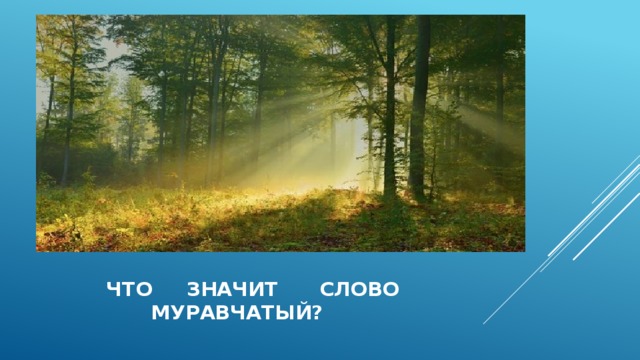  что значит слово  муравчатый? 