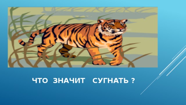  что значит сугнать ? 