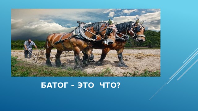  батог – это что? 