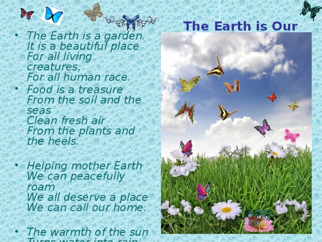 Code of Ecological Rules. Do not leave litter. Keep the country tidy. Respect the life and work of the countryside. Grow trees and flowers. Do not cut wild flowers. Put litter away. Do not frighten birds and animals. Do not burn fires. 