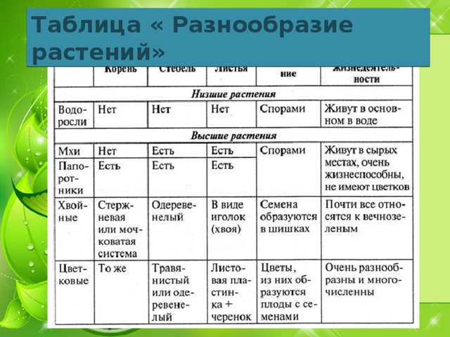 Таблица « Разнообразие растений» 