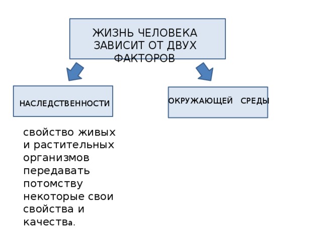ЖИЗНЬ ЧЕЛОВЕКА ЗАВИСИТ ОТ ДВУХ ФАКТОРОВ ОКРУЖАЮЩЕЙ СРЕДЫ НАСЛЕДСТВЕННОСТИ свойство живых и растительных организмов передавать потомству некоторые свои свойства и качеств а. 