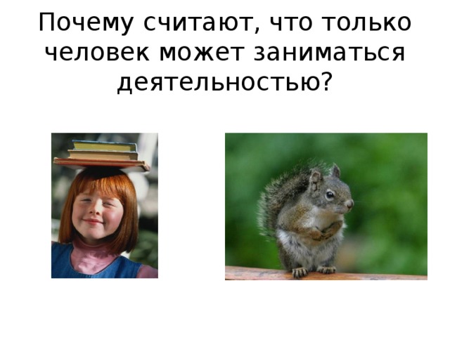 Почему считают, что только человек может заниматься деятельностью? 