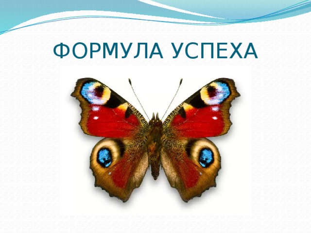 ФОРМУЛА УСПЕХА 