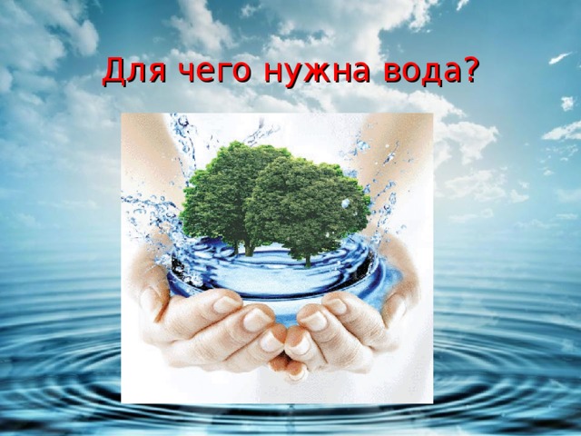 Для чего нужна вода? 