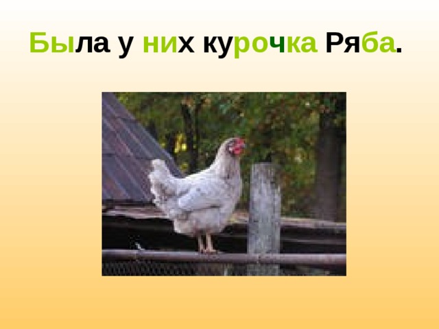 Бы ла у ни х ку ро ч ка Ря ба .  