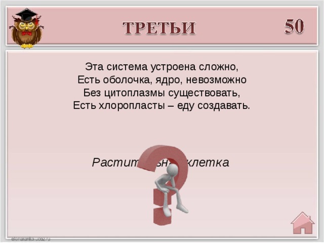 Эта система устроена сложно, Есть оболочка, ядро, невозможно Без цитоплазмы существовать, Есть хлоропласты – еду создавать. Растительная клетка  