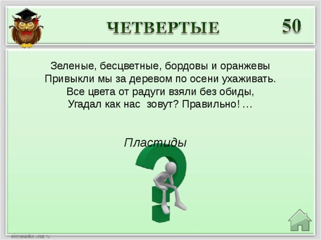 Зеленые, бесцветные, бордовы и оранжевы Привыкли мы за деревом по осени ухаживать. Все цвета от радуги взяли без обиды, Угадал как нас зовут? Правильно! … Пластиды 